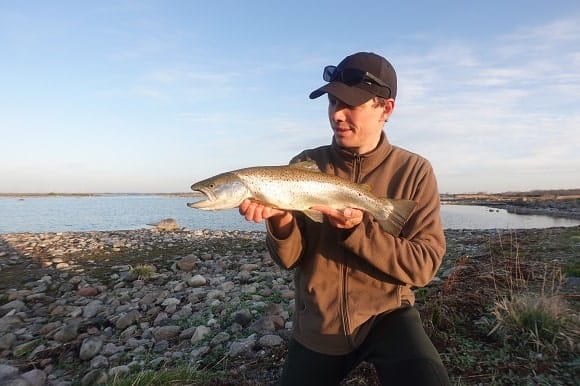 angelguide max loesche mit einer schönen meerforelle aus dem kalmarsund