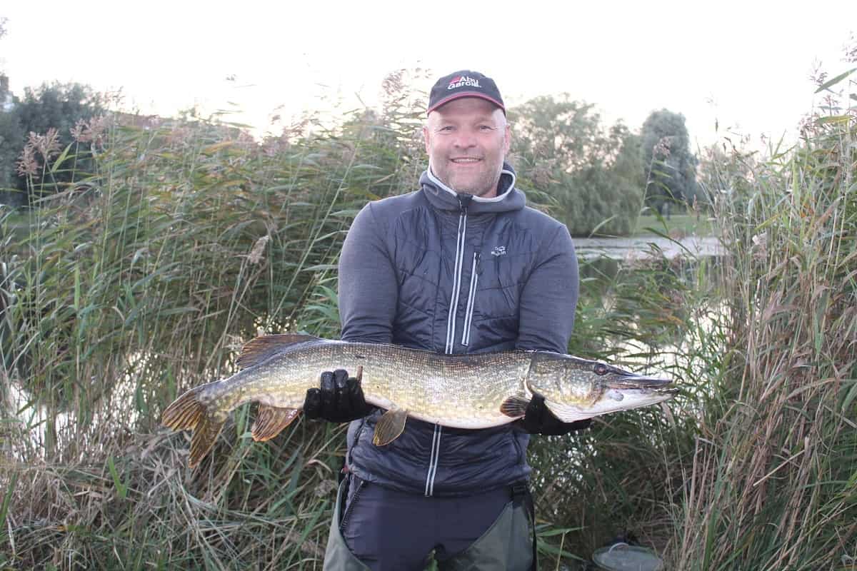 ein deutscher angelurlabuer mit einem schönen schwedischen hecht im herbst