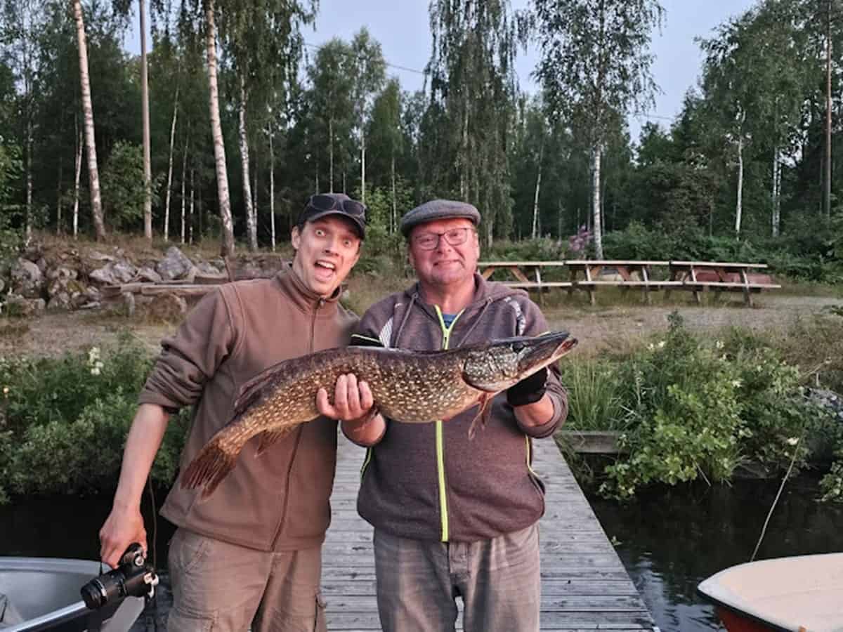 ein angler und angelguide mit einem dicken Schwedenhecht